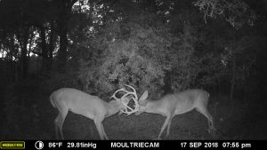 Mississippi Hunting Lease