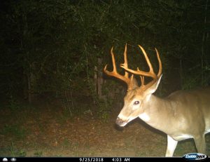 Alabama Hunting Lease