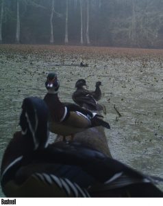 Florida Hunting Lease