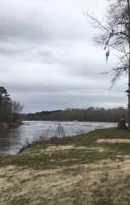Photo of lake at Fort Polk Fish Camp