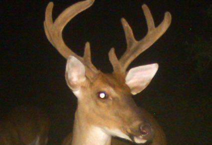 Natchitoches Parish, LA Hunting Lease