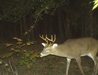 Nevada County, AR