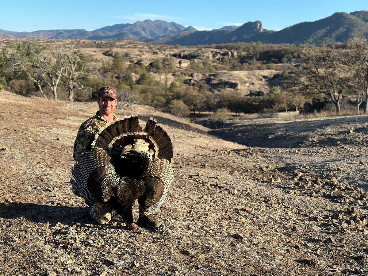 guided turkey hunt legacy wildlife