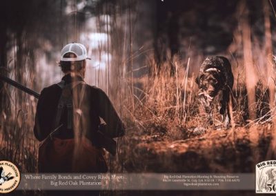 Big Red Oak Plantation hunting header