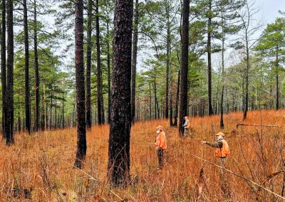 Big Red Oak Plantation hunt