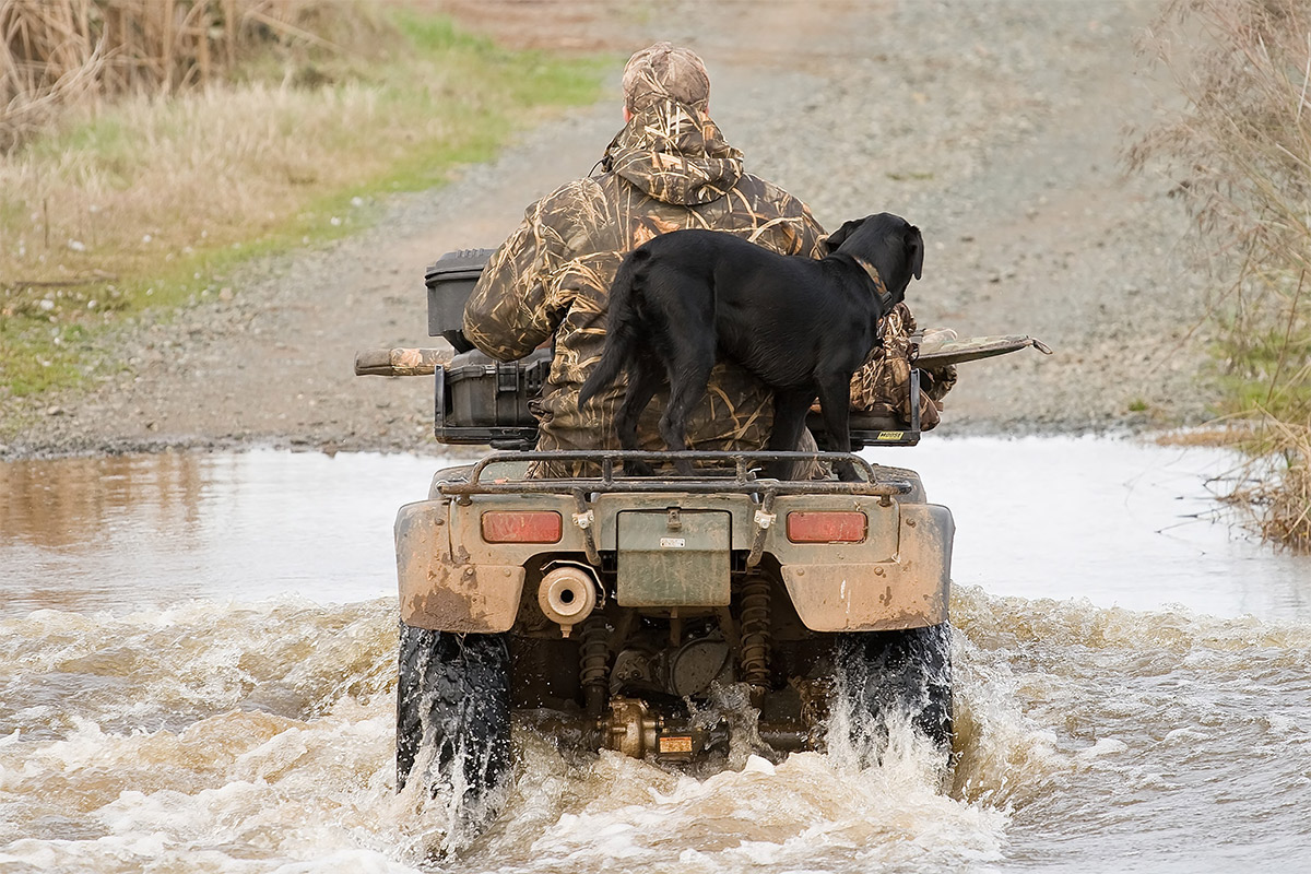 AdobeStock_5986181 hunter riding atv with hunting dog